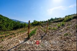 BOUTIQUE WINERY FOR SALE IN CHIANTI CLASSICO, TUSCANY