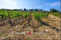 BOUTIQUE WINERY FOR SALE IN CHIANTI CLASSICO, TUSCANY