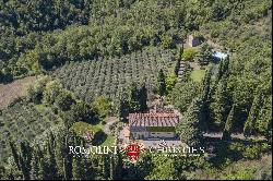 RESTORED FARMHOUSE WITH MEDIEVAL TOWER FOR SALE IN TUSCANY