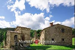 RURAL HAMLET TO BE RESTORED FOR SALE IN UMBRIA, CITTa DI CASTELLO