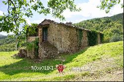 RURAL HAMLET TO BE RESTORED FOR SALE IN UMBRIA, CITTa DI CASTELLO