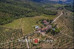 HAMLET FOR SALE, CHIANTI CLASSICO WINERY 14 HECTARES VINEYARDS