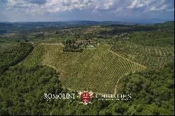 HAMLET FOR SALE, CHIANTI CLASSICO WINERY 14 HECTARES VINEYARDS