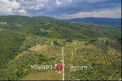 HAMLET FOR SALE, CHIANTI CLASSICO WINERY 14 HECTARES VINEYARDS