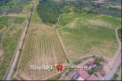 WINE ESTATE WITH 16 HA OF VINEYARDS FOR SALE IN CHIANTI, FLORENCE