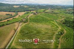 WINE ESTATE WITH 16 HA OF VINEYARDS FOR SALE IN CHIANTI, FLORENCE