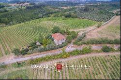 WINE ESTATE WITH 16 HA OF VINEYARDS FOR SALE IN CHIANTI, FLORENCE