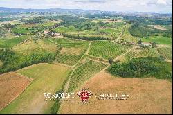 WINE ESTATE WITH 16 HA OF VINEYARDS FOR SALE IN CHIANTI, FLORENCE