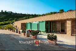 RENOWNED WINERY FOR SALE IN THE HILLS OF THE MARCHE REGION