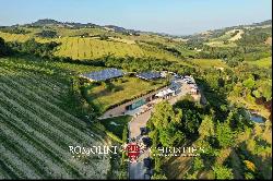 RENOWNED WINERY FOR SALE IN THE HILLS OF THE MARCHE REGION