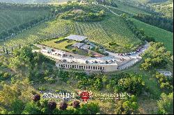 RENOWNED WINERY FOR SALE IN THE HILLS OF THE MARCHE REGION