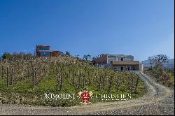 MONTECUCCO DOCG WINE ESTATE FOR SALE IN TUSCANY