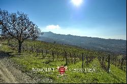 MONTECUCCO DOCG WINE ESTATE FOR SALE IN TUSCANY