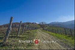 MONTECUCCO DOCG WINE ESTATE FOR SALE IN TUSCANY