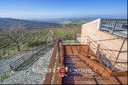 MONTECUCCO DOCG WINE ESTATE FOR SALE IN TUSCANY