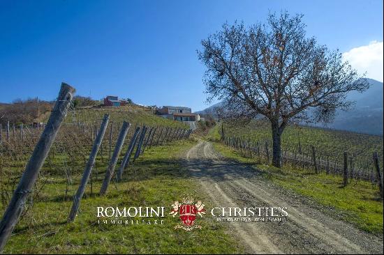 MONTECUCCO DOCG WINE ESTATE FOR SALE IN TUSCANY