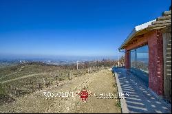 MONTECUCCO DOCG WINE ESTATE FOR SALE IN TUSCANY