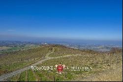 MONTECUCCO DOCG WINE ESTATE FOR SALE IN TUSCANY