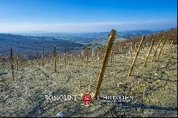 MONTECUCCO DOCG WINE ESTATE FOR SALE IN TUSCANY