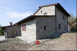 RENOVATED COUNTRY HOUSE WITH POOL FOR SALE IN POPPI, CASENTINO