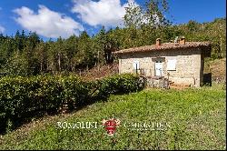 DETACHED VILLAS WITH GARDEN FOR SALE IN CASENTINO, TUSCANY