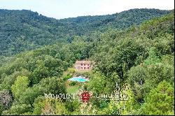 RUSTIC FARMHOUSE WITH SWIMMING POOL AND 58 HA OF WOODS FOR SALE IN TUSCANY