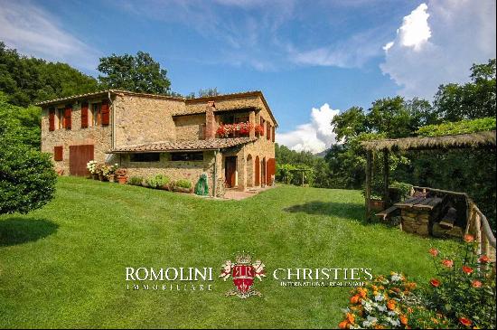 RUSTIC FARMHOUSE WITH SWIMMING POOL AND 58 HA OF WOODS FOR SALE IN TUSCANY