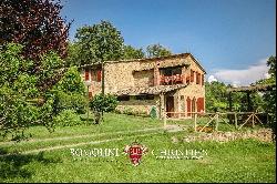 RUSTIC FARMHOUSE WITH SWIMMING POOL AND 58 HA OF WOODS FOR SALE IN TUSCANY