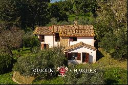 RUSTIC HOUSE WITH 17TH-CENTURY TOWER AND OLIVE GROVE FOR SALE IN AMELIA