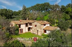 RUSTIC HOUSE WITH 17TH-CENTURY TOWER AND OLIVE GROVE FOR SALE IN AMELIA