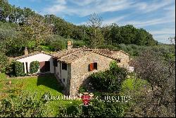 RUSTIC HOUSE WITH 17TH-CENTURY TOWER AND OLIVE GROVE FOR SALE IN AMELIA