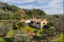 RUSTIC HOUSE WITH 17TH-CENTURY TOWER AND OLIVE GROVE FOR SALE IN AMELIA