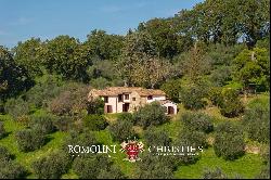 RUSTIC HOUSE WITH 17TH-CENTURY TOWER AND OLIVE GROVE FOR SALE IN AMELIA