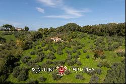 RUSTIC HOUSE WITH 17TH-CENTURY TOWER AND OLIVE GROVE FOR SALE IN AMELIA