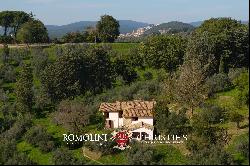 RUSTIC HOUSE WITH 17TH-CENTURY TOWER AND OLIVE GROVE FOR SALE IN AMELIA