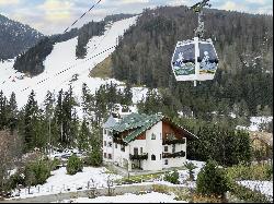 SLOPESIDE SERENITY WITH MOUNTAIN VIEW, DOLOMITES