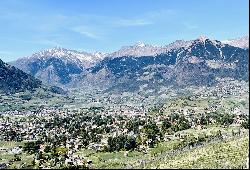 CASTLE WITH BEAUTIFUL PARK, VINEYARDS AND MOUNTAIN VIEW