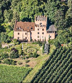 CASTLE WITH BEAUTIFUL PARK, VINEYARDS AND MOUNTAIN VIEW