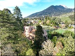 CASTLE WITH BEAUTIFUL PARK, VINEYARDS AND MOUNTAIN VIEW