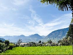 CASTLE WITH BEAUTIFUL PARK, VINEYARDS AND MOUNTAIN VIEW