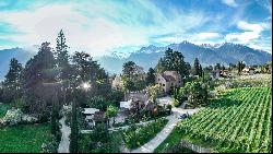 CASTLE WITH BEAUTIFUL PARK, VINEYARDS AND MOUNTAIN VIEW