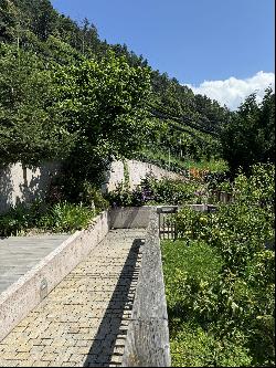 Tirolo, South Tyrol, Italy