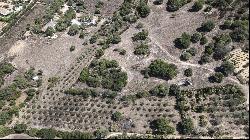 Sardinia Countryside