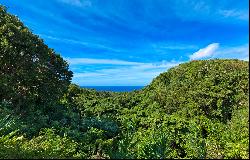 Turtleback Ridge