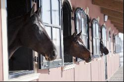 Equestrian Estate in Perl-Borg, close to Luxembourg