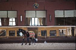 Equestrian Estate in Perl-Borg, close to Luxembourg