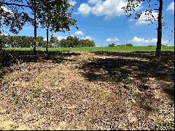 TBD Lot 3 County Road 409d, Henderson TX 75654