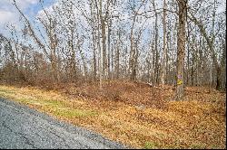 Baker Road, Hopewell Junction NY 12533