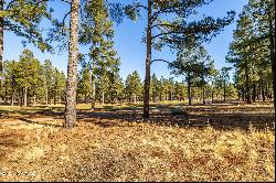 3580 S Lariat Loop, Flagstaff AZ 86005