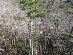 Lot 13 Saratay Falls Drive, Cashiers NC 28717